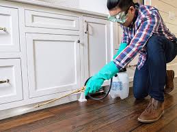 Best Residential Pest Control  in Clifton, AZ