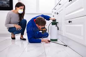 Emergency Pest Control Services in Clifton, AZ