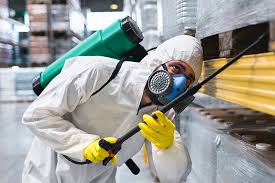 Best Fumigation Services  in Clifton, AZ